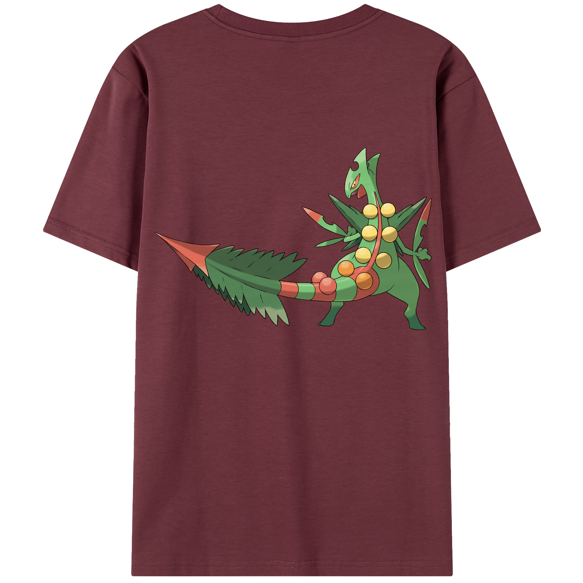 （画像用） ポケットモンスター Pokémon 綿100％半袖Tシャツ（背面プリント）
